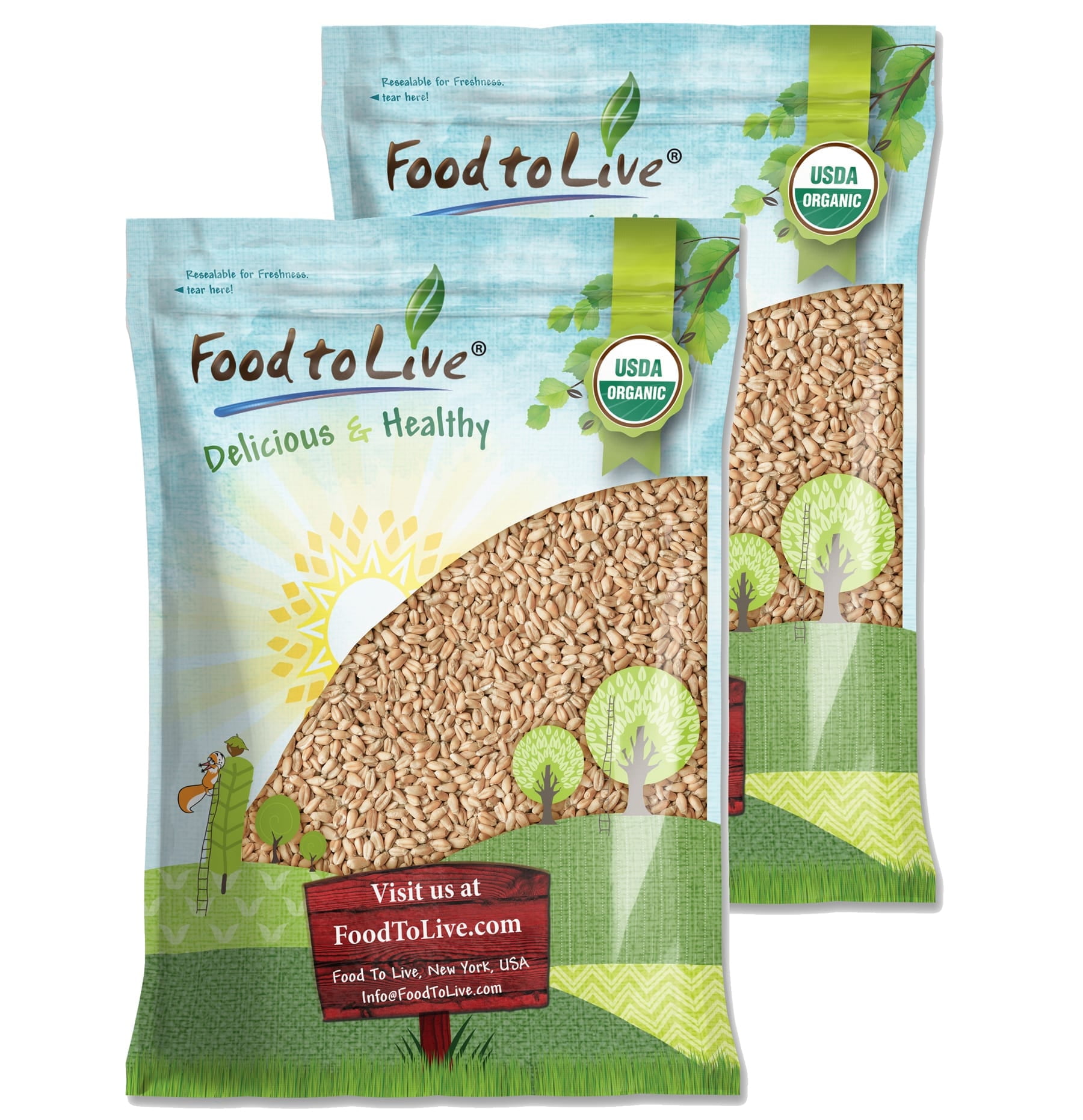 Organic Soft White Wheat Berries, 20 Pounds Premium NonGMO