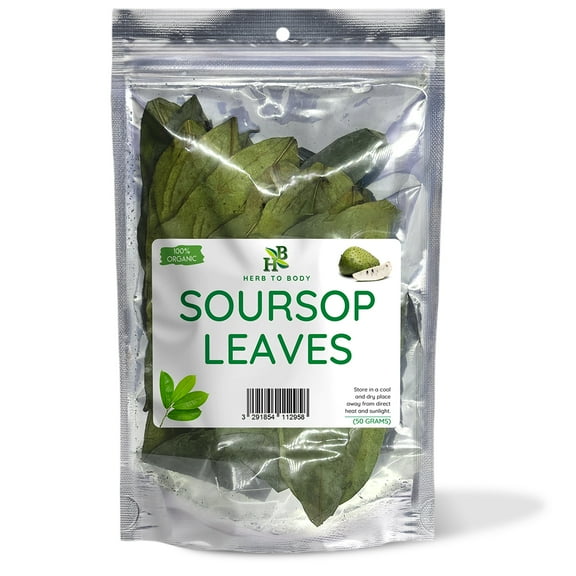 Soursop Leaves | Graviola Fruit Leaves | 50 Grams | Herb To Body | Approximately 80 leaves