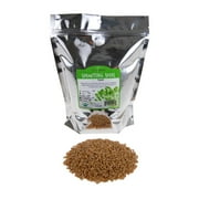 Organic Spelt 2.5 Lbs - Non-GMO Grain Seeds - Flour, Bread, Baking, Cooking, Food Storage, Sprouting, Spelt Grass