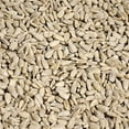 Organic Sunflower Seeds by It’s Delish, 5 lbs Bulk Unsalted Sunflower
