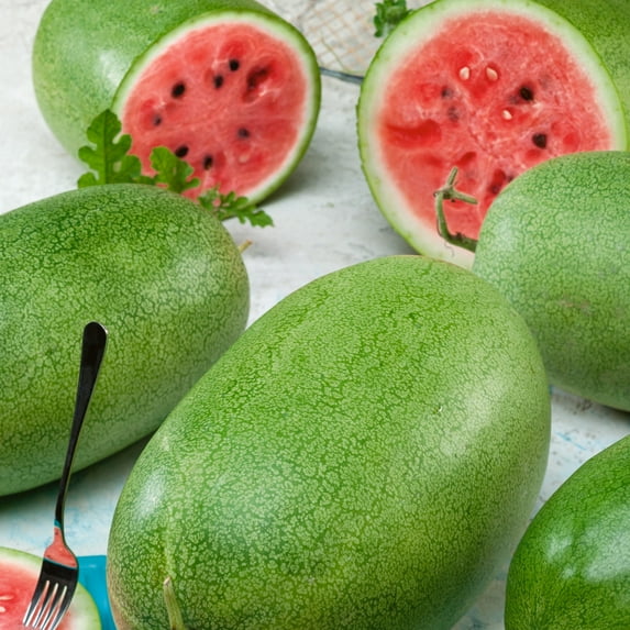 Organic Sweet Princess Watermelon Seeds - 4 Oz ~1600 Seeds - Non-GMO, Certified Organic, Heirloom - Fruit & Vegetable Garden - Citrullus lanatus