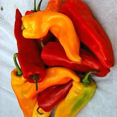 Organic Sweet Sunset Italian Pepper Mix - 250 Mg Packet ~30-40 Seeds - Organic, Heirloom, Open Pollinated, Non-GMO, Farm & Vegetable Gardening Seeds