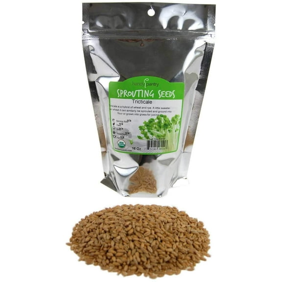 Organic Triticale Seeds- 1 Lbs- Triticale Grain Seed: Sprouting Sprouts, Cooking, Grind Flour, Food Storage & More