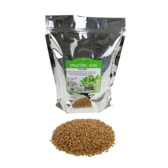 Organic Triticale Seeds- 2.5 Lbs- Triticale Grain Seed: Sprouting Sprouts, Cooking, Grind Flour, Food Storage & More