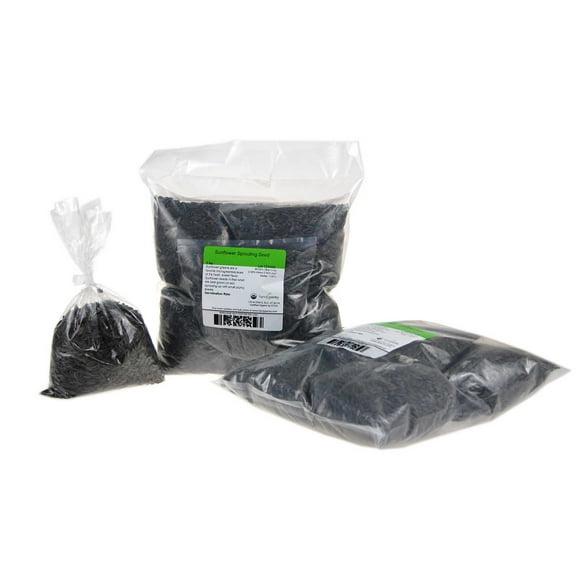 Organic Unshelled Sunflower Seed- 10 Bags Pre-Measured for a 10"x20" Growing Tray (About 5 Lbs) - Non-GMO Black Oil Sun Flower Seeds for Sprouts, Microgreens, More