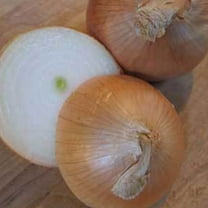 Organic Utah Yellow Sweet Spanish Onion Seed 2 Gram ~500 Seeds – Long Day, Non-GMO, Heirloom, Mild & Sweet – 110-115 Days – Open-Pollinated Bulbing Onion – Allium cepa – USDA Recommended