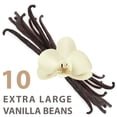 thumbnail image 1 of Organic Vanilla Beans (Extra Large) | 10 Pack | Grade A Vanillin | Delicious Flavor & Aroma | Elephant Chateau, 1 of 5