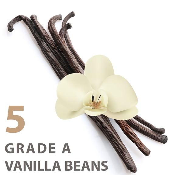 Organic Vanilla Beans (Extra Large) | 5 Pack | Grade A Vanillin | Delicious Flavor & Aroma | Elephant Chateau