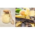 thumbnail image 1 of Organic Vanilla Sugar Scrub ~ 7oz ~ No Dyes, No Preservatives ~ All Natural ~ Very Moisturizing, 1 of 4