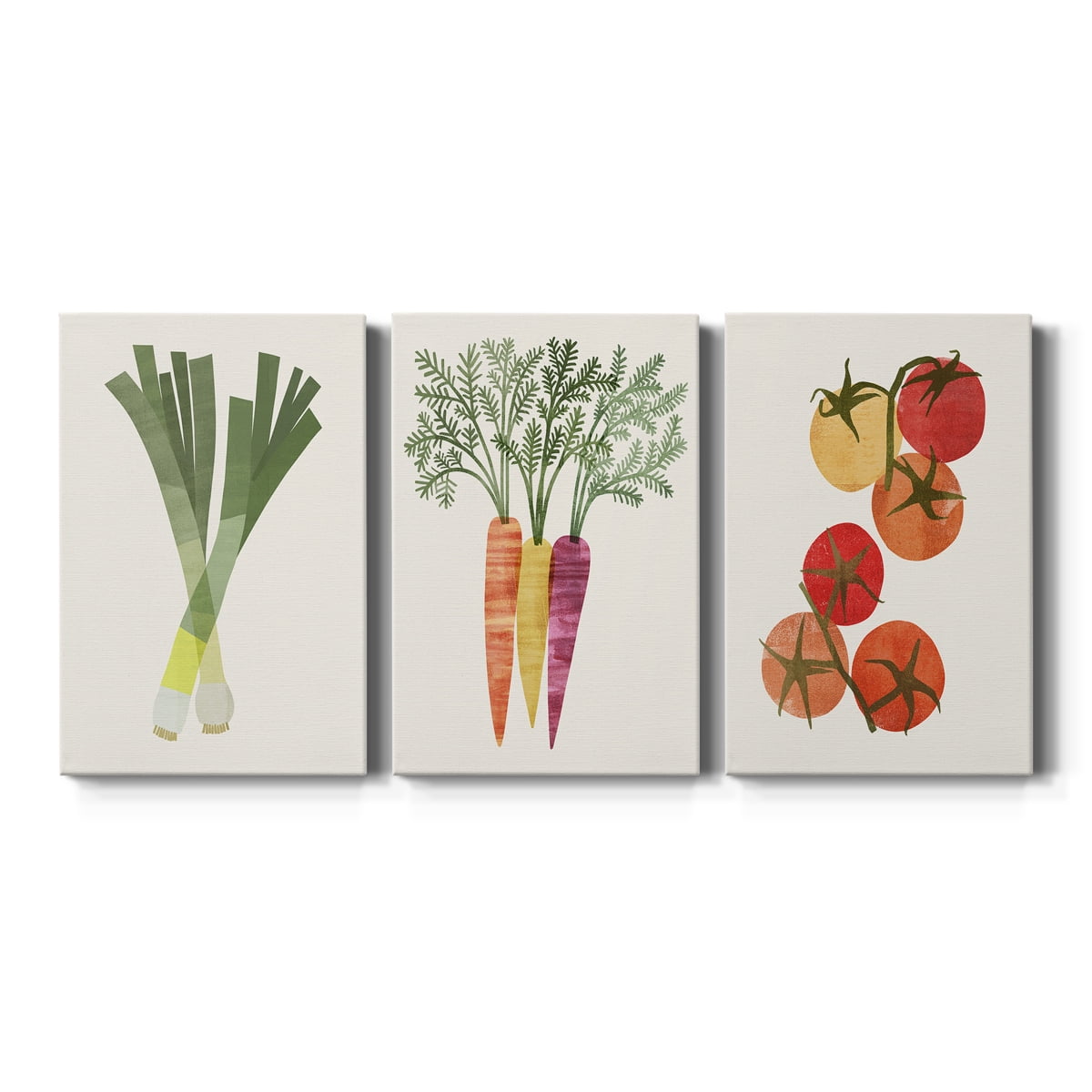 Organic Veg II Premium Gallery Wrapped Canvas - Ready to Hang - 24 x 36 Each