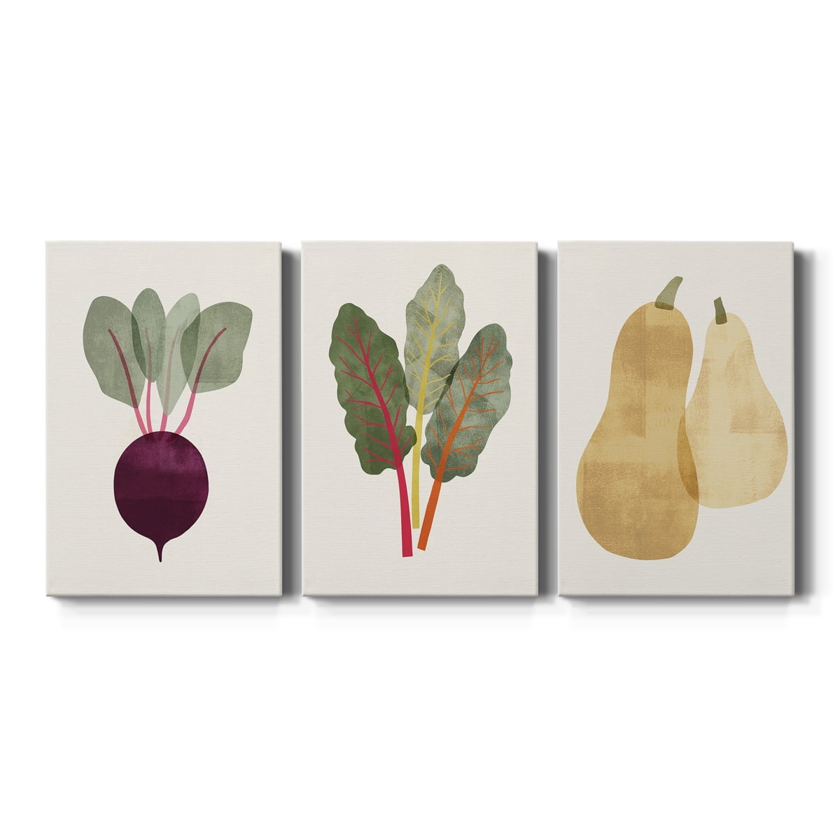 Organic Veg IX Premium Gallery Wrapped Canvas - Ready to Hang - 18 x 27 Each