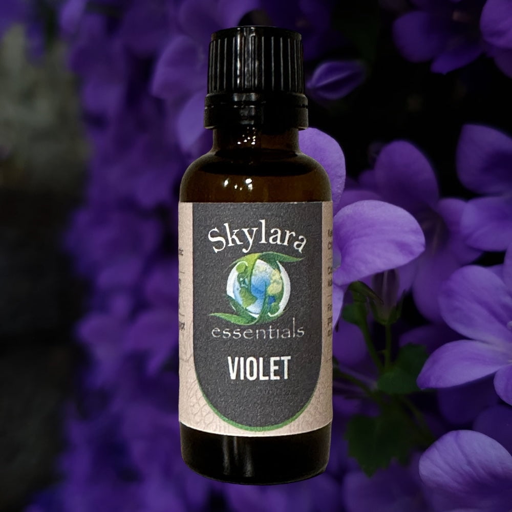 Organic Violet Essential Oil