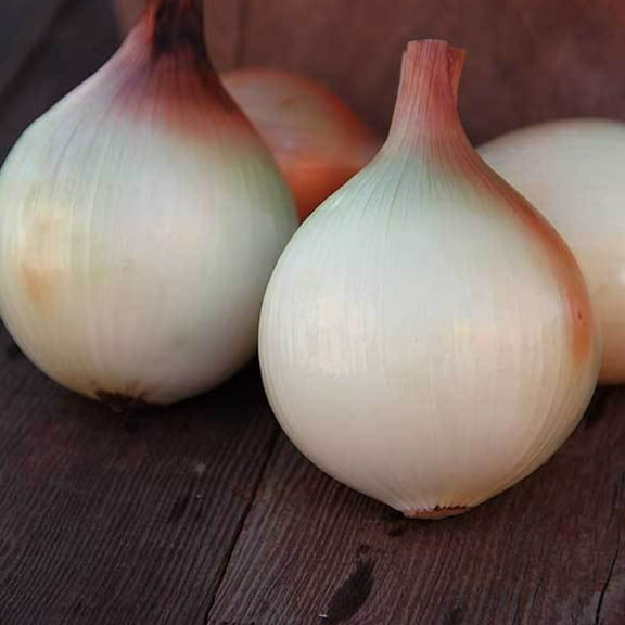 Walla Walla Onion Seed - 1 g ~300 Seeds - Heirloom, Open Pollinated, Non-GMO, Farm & Vegetable Gardening Seeds