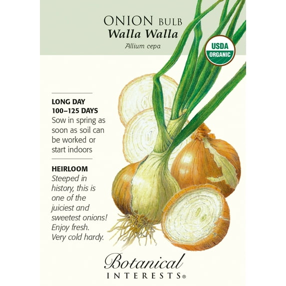 Organic Walla Walla Onion Seeds - 500 mg