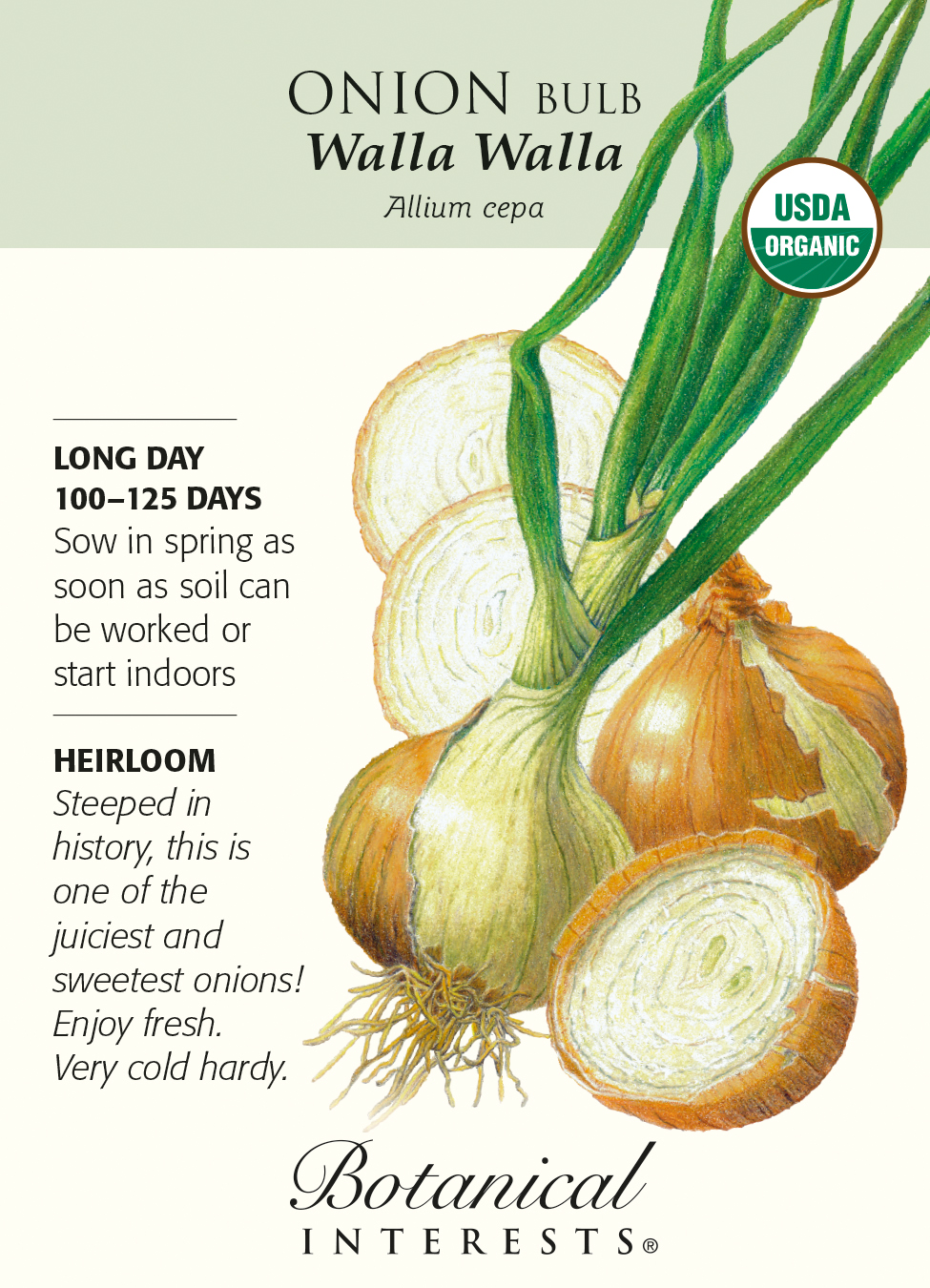 Walla Walla Onion Seeds – 100+ Heirloom Seeds, Non-GMO, Fresh Garden Vegetable Seeds – Grown In USA