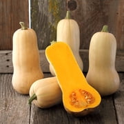 Organic Waltham Butternut Squash - 4 g 25 Seeds - Non-GMO, Open Pollinated, Heirloom, Vegetable Gardening Seeds - Winter Squash