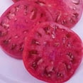 thumbnail image 1 of Organic Watermelon Beefsteak Tomato 0.25 Oz ~1,700 Seeds – Huge 1–2 lb Heirloom Fruits – Old-Fashioned Flavor – Indeterminate – Non-GMO – Juicy & Meaty for Slicing, Salads, Canning – Open-Pollinated, 1 of 5