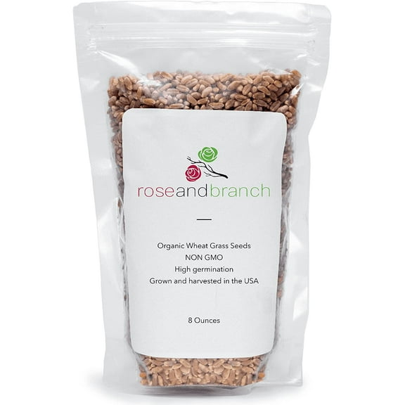 Organic Wheat Grass Seeds, Cat Grass Seeds, 8 Ounces- 100% Organic Non GMO - Hard Red Wheat. Harvested in The US. Easy to Grow.