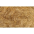 thumbnail image 1 of Organic Wheat Straw - 100% Natural Wheat Straw Ideal for Gardening, Decor, Animal Bedding and Eco-Friendly Projects, 1 of 1