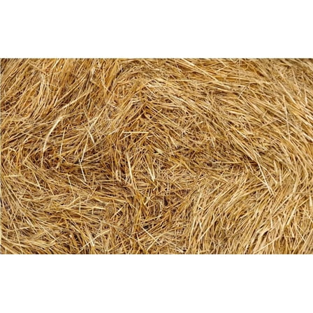 Organic Wheat Straw - 100% Natural Wheat Straw Ideal for Gardening, Decor, Animal Bedding and Eco-Friendly Projects
