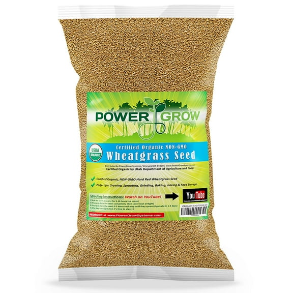 Organic Wheatgrass Seed - GGA1 Certified Organic Hard Red Wheat by PowerGrow (5 Pound)