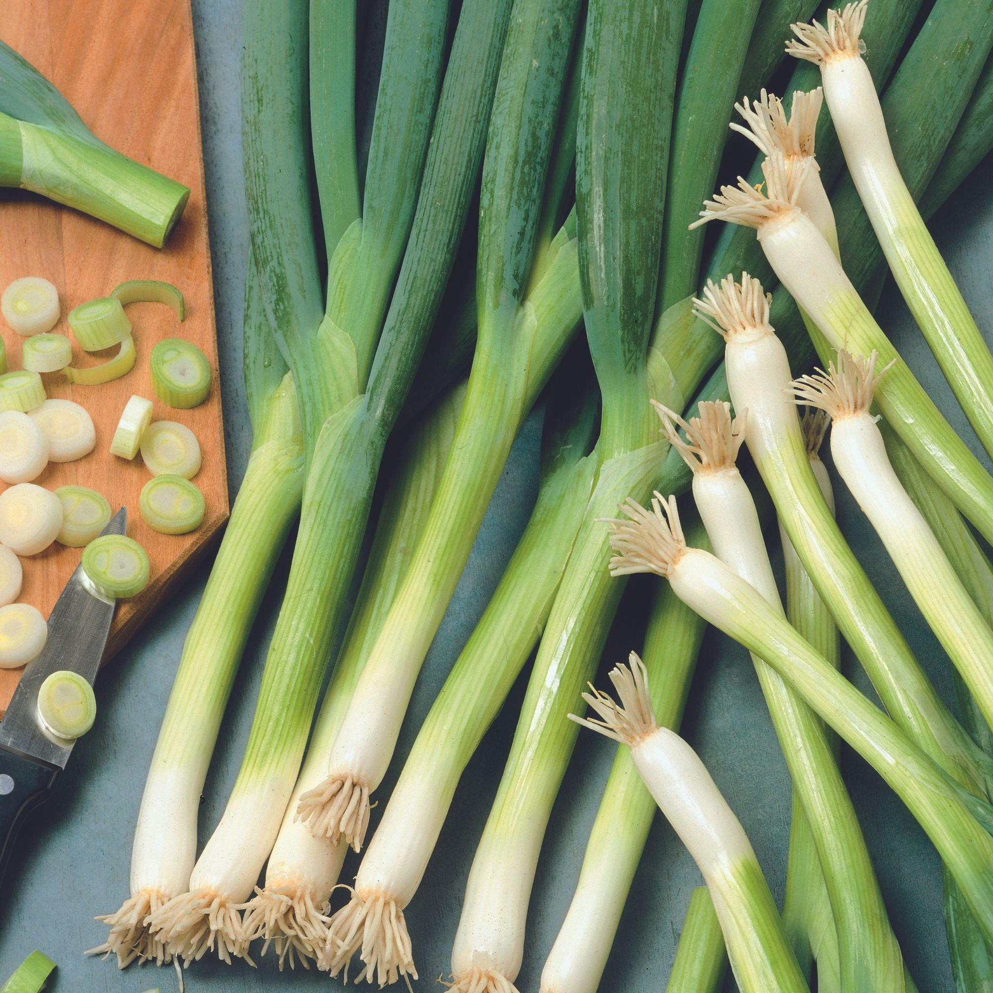 Organic White Ishikura Bunching Onion Seeds – 4 Oz (~33,500 Seeds) – Non-GMO, Heirloom, Long-White-Stem Scallions – Ideal for Home Gardens, Containers, or Raised Beds