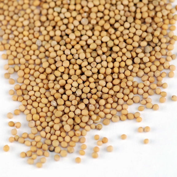 Organic Whole (Hull Intact) Millet Seeds: 5 Lb - Cereal Grain - Sprouting Seed - Non-GMO, Animal Feed & Bird Seed