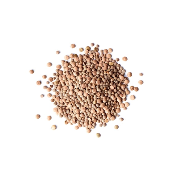 Organic Whole Red Lentils, 20 Pounds Non-GMO, Sproutable, Kosher, Raw, Vegan by Food to Live