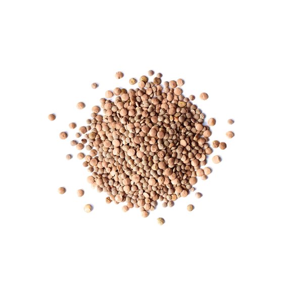 Organic Whole Red Lentils, 20 Pounds — Non-GMO, Sproutable, Kosher, Raw, Vegan — by Food to Live