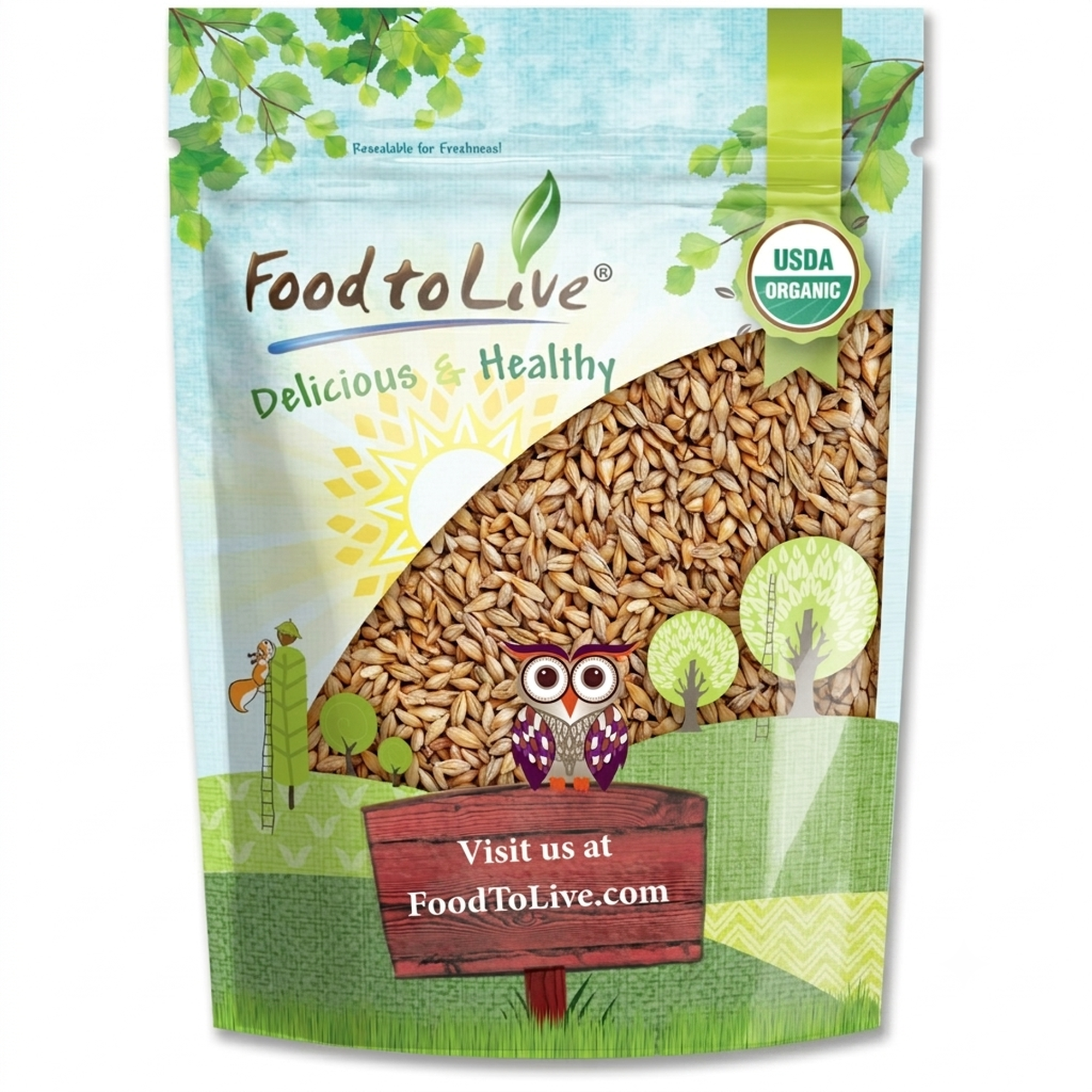 Raw Non Intact Organic Whole Unhulled Barley, 3 Pounds - Raw Seeds with Husk Intact ...
