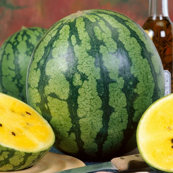 Organic Yellow Gem Sweet Watermelon Seeds - 1 Oz ~400 Seeds - Non-GMO, Certified Organic - Fruit & Vegetable Garden - Citrullus lanatus