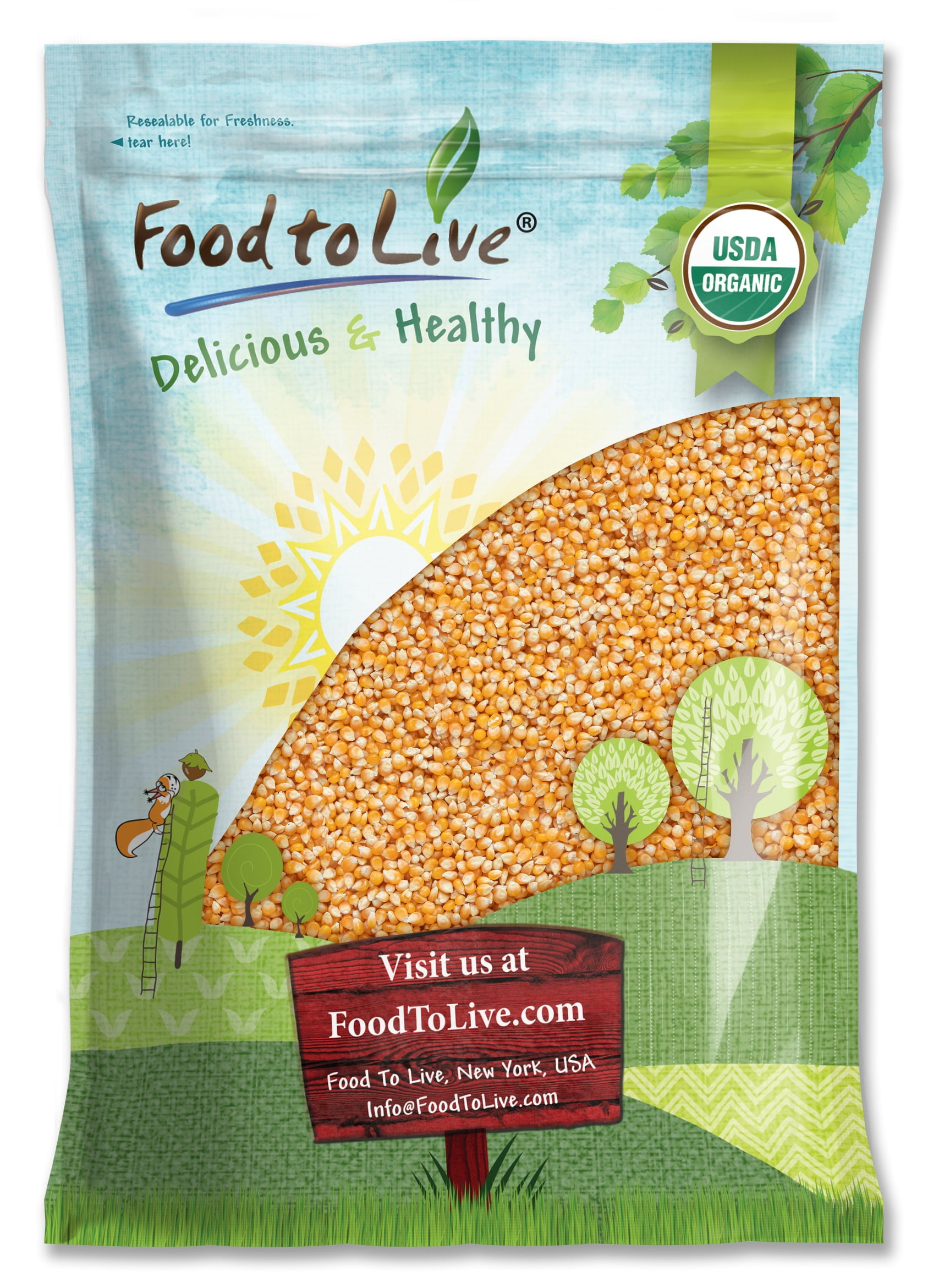 Organic Yellow Popcorn, 10 Pounds — Non-GMO, Vegan, Raw — by Food to Live