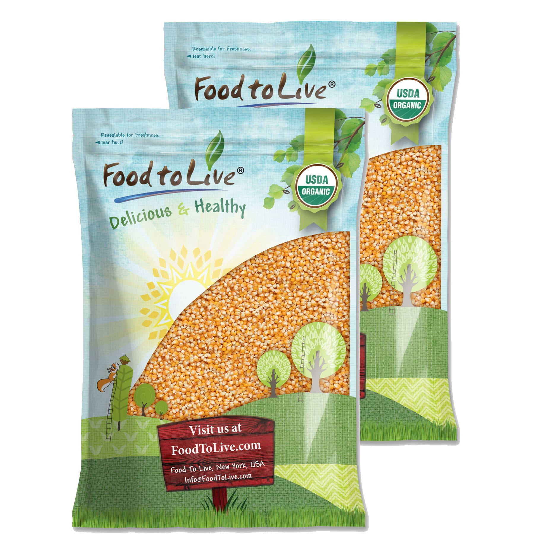 Organic Yellow Popcorn, 20 Pounds — Non-GMO, Vegan, Raw — by Food to Live