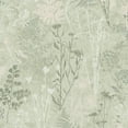 thumbnail image 1 of Organics Sage Wallpaper, 1 of 4