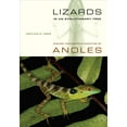 thumbnail image 1 of Organisms and Environments: Lizards in an Evolutionary Tree : Ecology and Adaptive Radiation of Anoles (Series #10) (Edition 1) (Paperback), 1 of 1