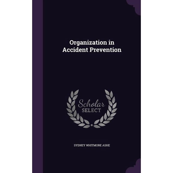 Organization in Accident Prevention (Hardcover)