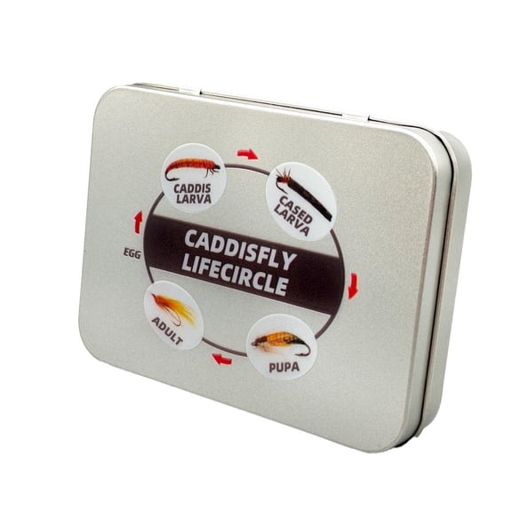 Organized Caddisfly Fly Box for Nymphs, Safe and Efficient Storage for Fishing Hooks and Lures (A)