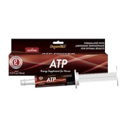 Organnact ATP Energy Supplement for Horses - 2.64 fl oz 78ml - Boosts Explosiveness & Speed - Non-Doping, Green Apple Flavor