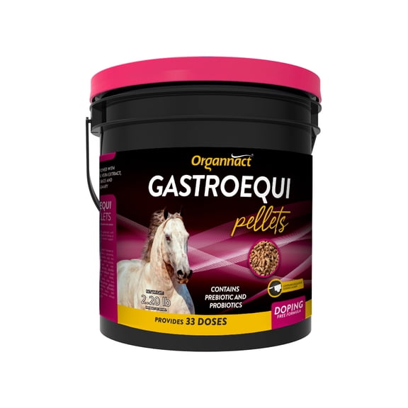 Organnact GASTRO EQUI PELLETS To support the gastric health of horses 2.2lb