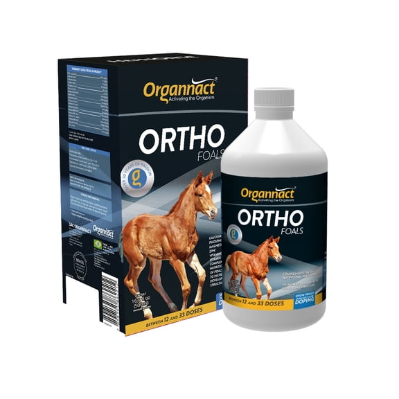 Organnact ORTHO FOALS to assist the development of healthy and strong bones in foals