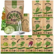 Organo Republic - 10 Lettuce & Salad Greens Seeds Varieties - 13,000+ Non GMO Heirloom Garden Seeds
