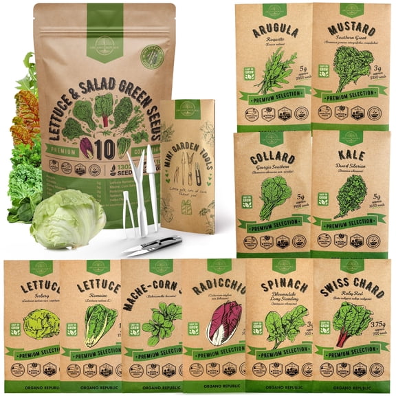 Organo Republic - 10 Lettuce & Salad Greens Seeds Varieties - 13,000+ Non GMO Heirloom Garden Seeds