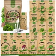 Organo Republic - 22 Lettuce & Salad Greens Seeds Varieties - 24,700+ Non GMO Heirloom Garden Seeds