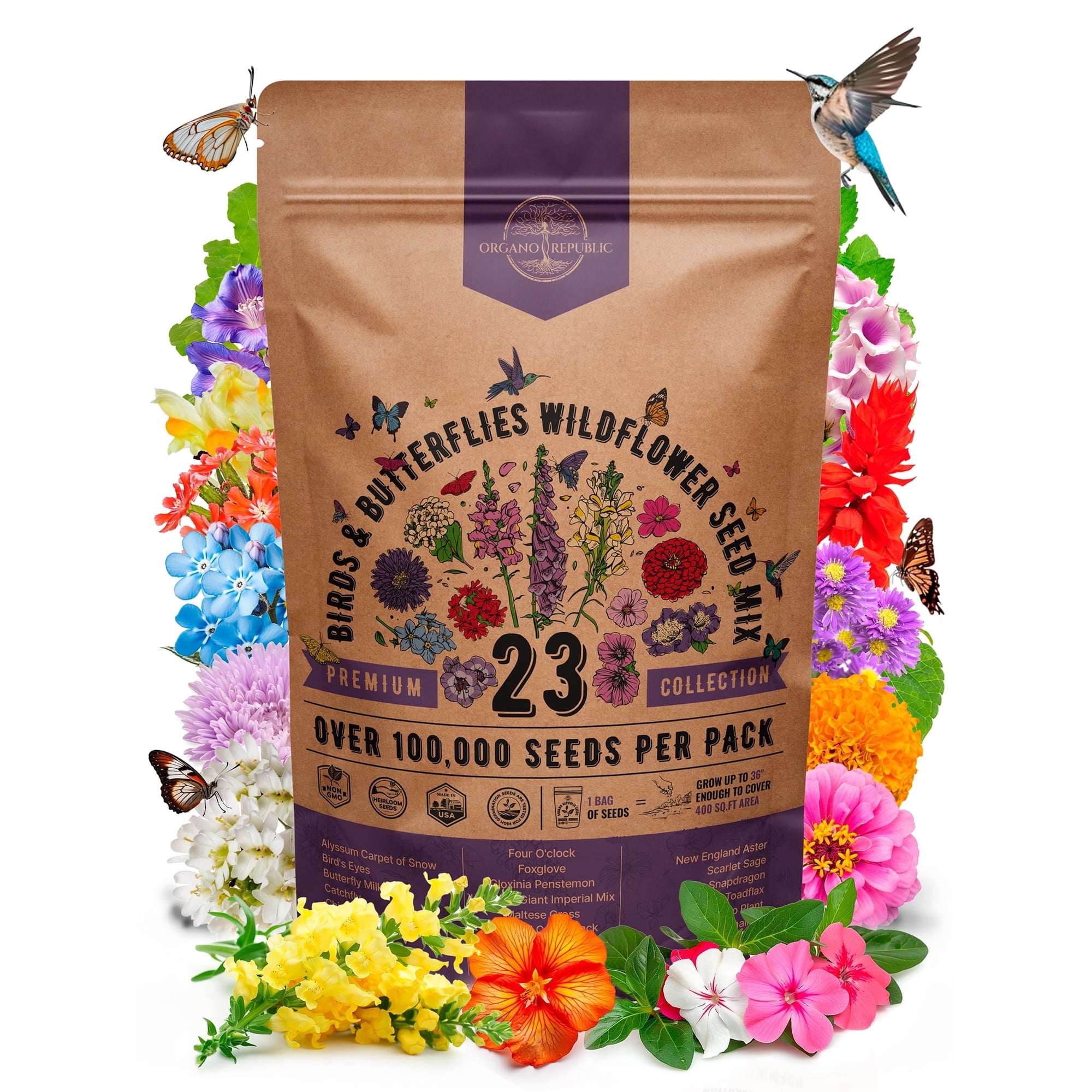 Wildflower Seeds Annual & Perennial Mix