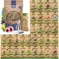thumbnail image 1 of Organo Republic - 30 Medicinal Tea Herb & Flower Seeds Varieties - 13625+ Non GMO Heirloom Garden Seeds, 1 of 7