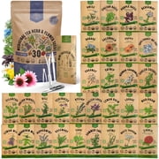 Organo Republic - 30 Medicinal Tea Herb & Flower Seeds Varieties - 13625+ Non GMO Heirloom Garden Seeds