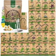 Organo Republic 30 Medicinal & Tea Herb Seeds Variety Pack 15,560+ Non-GMO Heirloom Garden Seeds