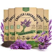 Organo Republic 5-Pack English Lavender Seeds   11,000+ Non-GMO Heirloom Seeds, 12.5G Total for Indoor and Outdoor Planting, Aromatic Herb for Home Garden