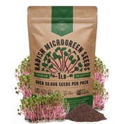 Organo Republic 50،000 + تنبت الفجل وبذور Microgreens 1 رطل ، مجموعة بذور تنبت الإرث غير المعدلة وراثيًا