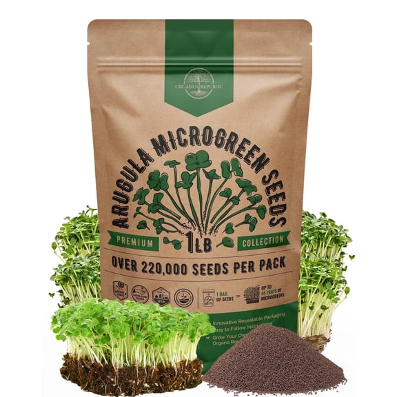 Organo Republic Arugula Sprouting & Microgreens Seeds 1lb - 220,000 Non-GMO Heirloom Sprout Seeds Kit, Resealable Bag for & Growing Microgreens in Soil, Aeroponic & Hydroponic System